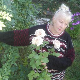 Арина Арина